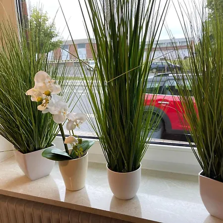 Vital Lueneburger Heide Hotell 4*