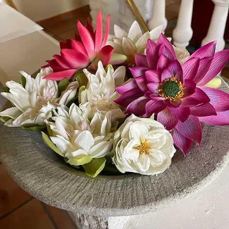 Vital Lueneburger Heide Hotell 4*